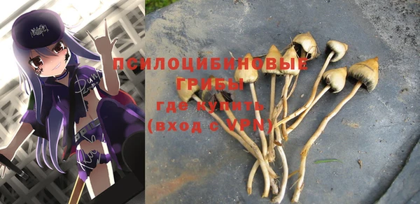 мет Арсеньев