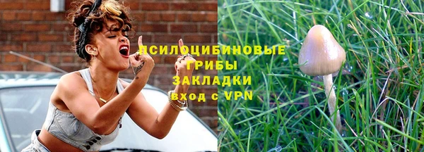 мет Арсеньев