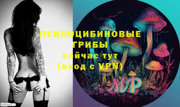 ГАЛЛЮЦИНОГЕННЫЕ ГРИБЫ Армянск